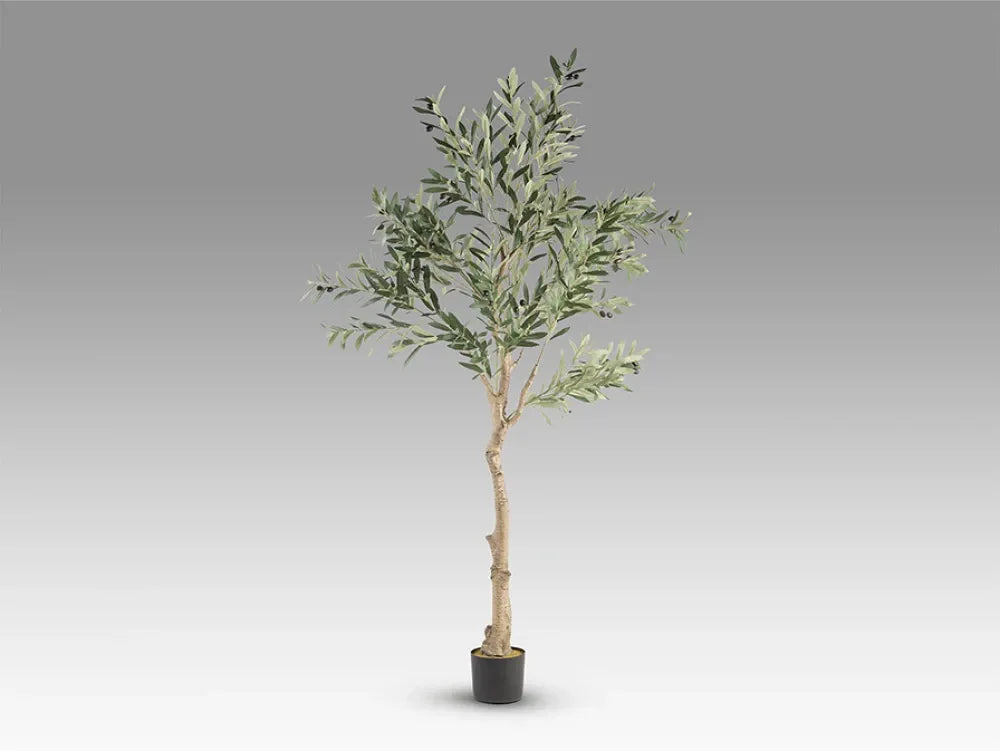 Maslin arificial din Plastic Verde L90xH180cm Olivo