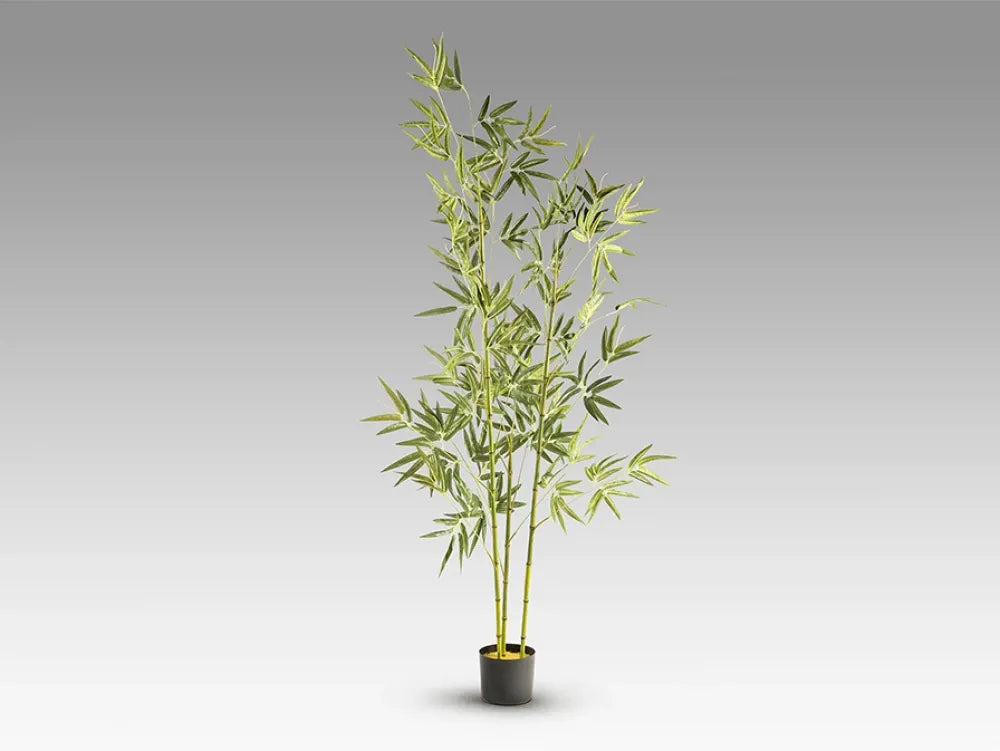 Planta artificiala din Plastic Verde L50xH170cm Bambu