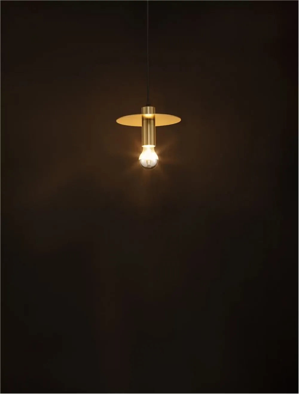 Pendul din Metal Auriu H180xL20cm IP20 ROYAL